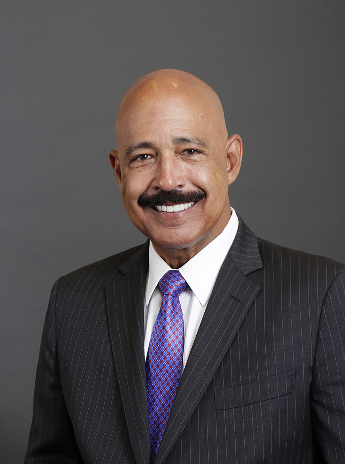 Theodore V. Wells, Jr. American Academy of Arts and Sciences